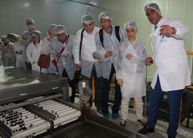 Manisa kirazı Güney Kore'ye ihraç edilecek